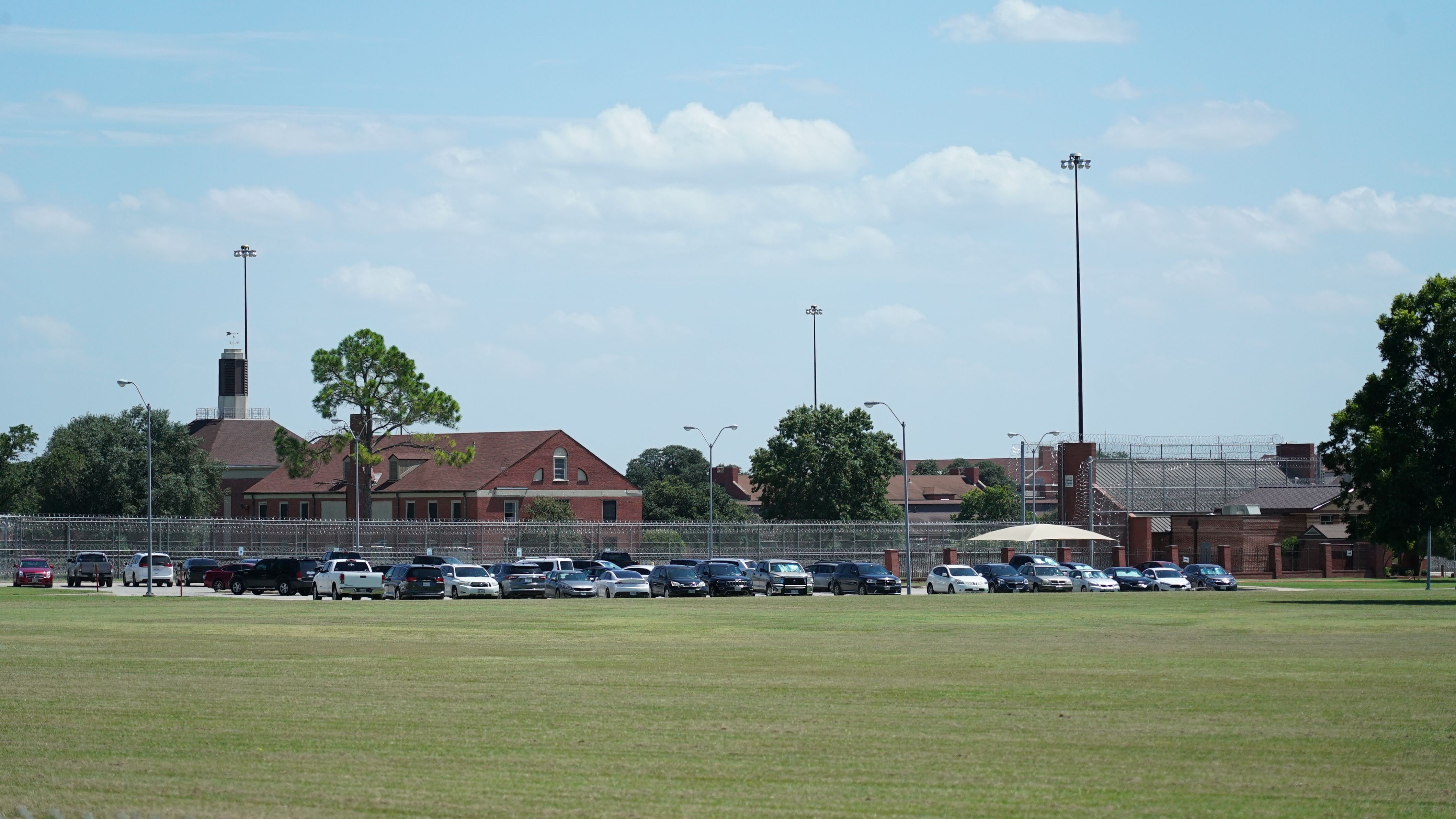 Artificial grass in Seagoville, TX